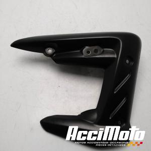 écope de radiateur (droit) TRIUMPH STREET TRIPLE 675