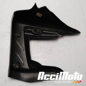 écope de radiateur (droit) TRIUMPH STREET TRIPLE 675