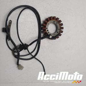 Stator d'alternateur YAMAHA DRAGSTAR XVS650