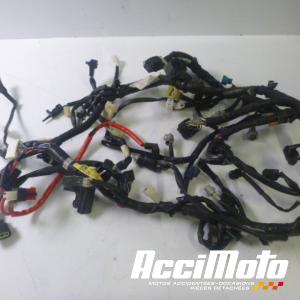 Faisceau électrique (principal) YAMAHA MT-09