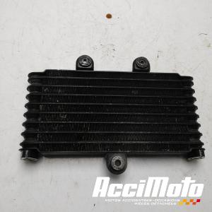 Radiateur d'huile SUZUKI FREEWIND XF650