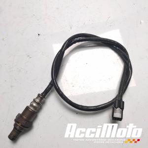 Sonde lambda YAMAHA FZ6 N