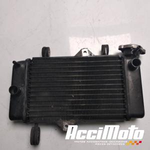 Radiateur de refroidissement YAMAHA MT 125