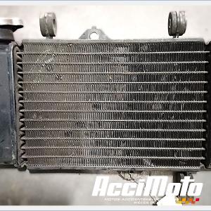 Radiateur de refroidissement YAMAHA MT 125