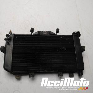 Radiateur de refroidissement YAMAHA TDM 850