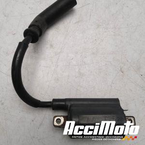 Bobine d'allumage YAMAHA XTX 660