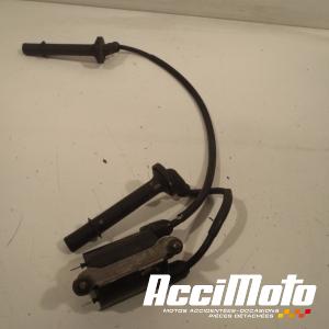 Ignition coil (1/4) HONDA CBR1100XX