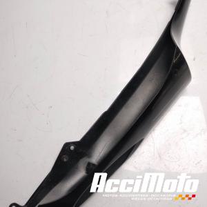 Coque arrière (gauche) KAWASAKI ZZR ZX1400