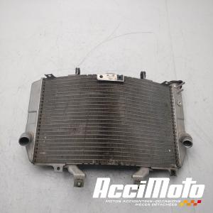 Radiateur de refroidissement SUZUKI GSXR 1000