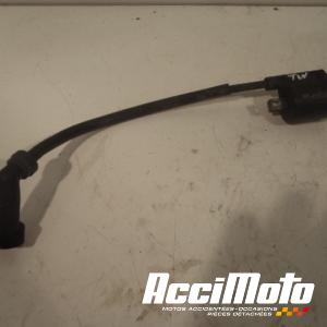 Bobine d'allumage YAMAHA TW 125