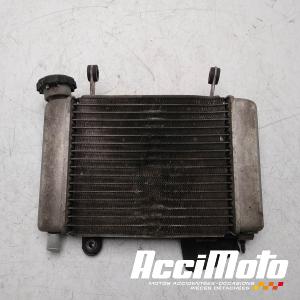 Radiateur de refroidissement HONDA CBR125