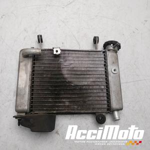 Radiateur de refroidissement HONDA CBR125