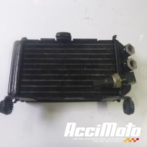 Radiateur d'huile DUCATI MULTISTRADA 1200S TOURING