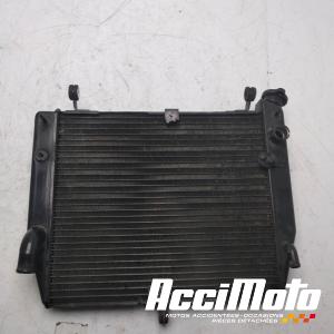 Radiateur de refroidissement YAMAHA R1 YZF1000