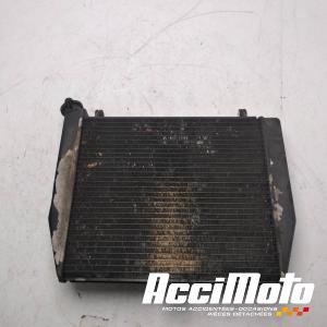 Radiateur de refroidissement YAMAHA R1 YZF1000