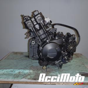 Moteur HONDA CBF600N 