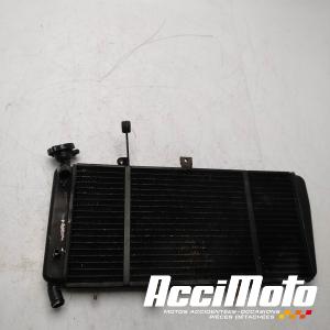 Radiateur de refroidissement TRIUMPH SPRINT 1050 ST