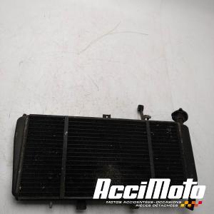 Radiateur de refroidissement TRIUMPH SPRINT 1050 ST