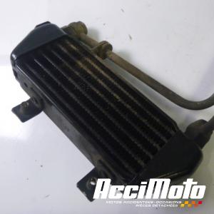 Radiateur d'huile TRIUMPH TIGER 955I