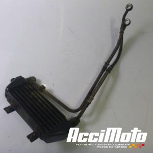 Radiateur d'huile TRIUMPH TIGER 955I