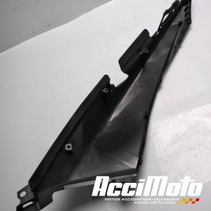 Coque arrière (droite) YAMAHA TMAX XP530 DX