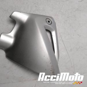 Cache cadre (droit) YAMAHA BULLDOG BT1100