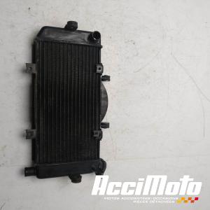 Radiateur de refroidissement YAMAHA TDM 900