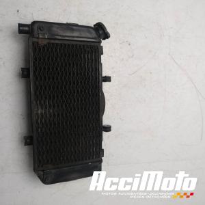 Radiateur de refroidissement YAMAHA TDM 900