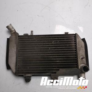 Radiateur de refroidissement HONDA VFR800 VTEC