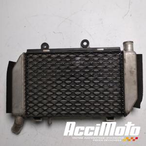 Radiateur de refroidissement HONDA VFR800 VTEC