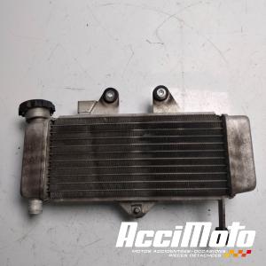 Radiateur de refroidissement HONDA VARADERO XL125V