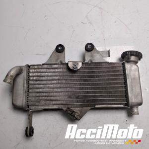 Radiateur de refroidissement HONDA VARADERO XL125V