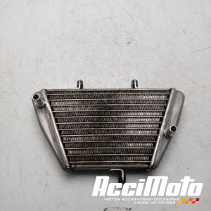 Radiateur d'huile APRILIA TUONO 1000V4 R