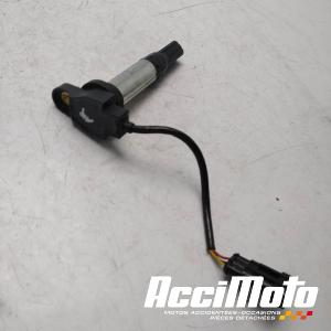 Bobine crayon APRILIA TUONO 1000V4 R