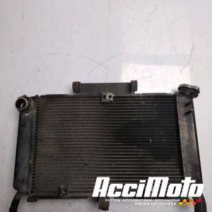 Radiateur de refroidissement YAMAHA FZ6 S FAZER