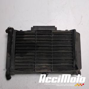 Radiateur de refroidissement YAMAHA FZ6 S FAZER