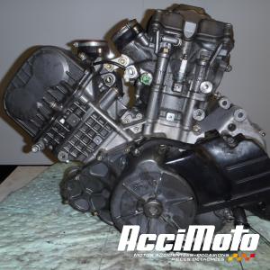 Moteur APRILIA FALCO SL1000