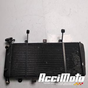 Radiateur de refroidissement TRIUMPH SPRINT 1050 GT