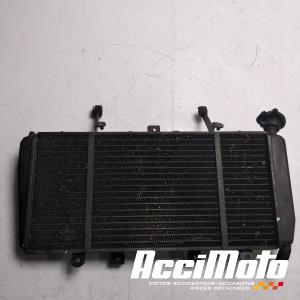 Radiateur de refroidissement TRIUMPH SPRINT 1050 GT