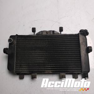 Radiateur de refroidissement YAMAHA TDM 850