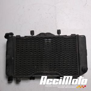 Radiateur de refroidissement YAMAHA TDM 850