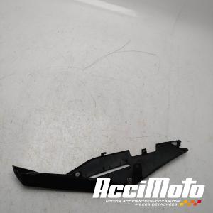 Coque arrière (droite) APRILIA TUONO 125