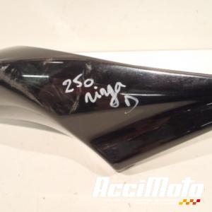 Coque arrière (droite) KAWASAKI ZXR 250