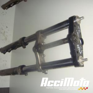 Fourche complète SUZUKI RF 600