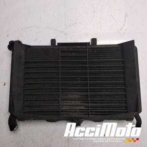 Radiateur de refroidissement YAMAHA XJ6N