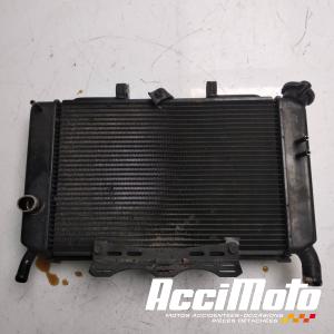 Radiateur de refroidissement YAMAHA XJ6N