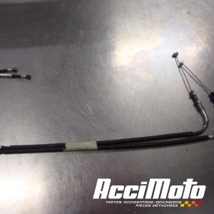 Cable de valve d'échappement YAMAHA FZ1 N