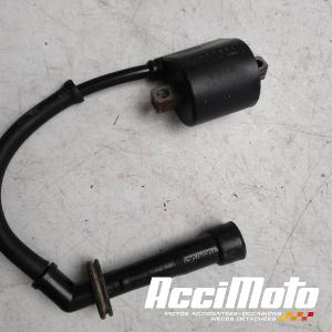 Bobine d'allumage SUZUKI DRZ 400