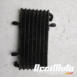 Radiateur d'huile APRILIA RSV 1000