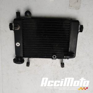 Radiateur de refroidissement HONDA CBR125